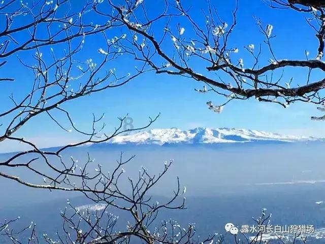 88影视