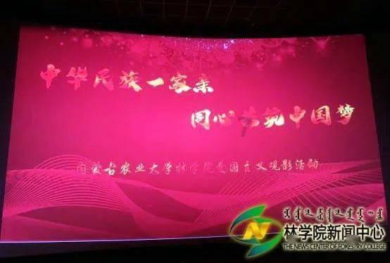 袋鼠兄弟2